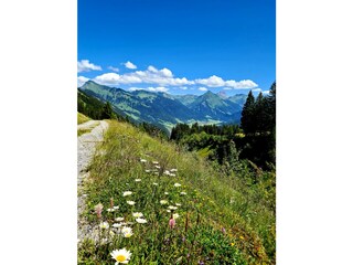 Appartamento per vacanze Au in Vorarlberg Ambiente 14