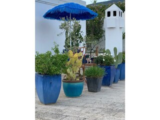 Villa Mattinata Registrazione all'aperto 3