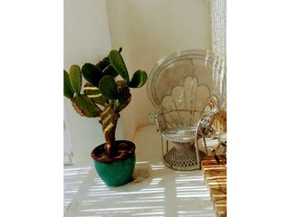 Villa Mattinata Caratteristiche 11