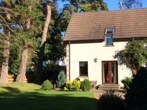 Holiday apartment Steading 5 - Newtonmore - image1