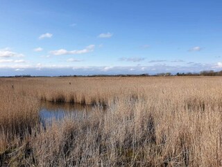 Maison de vacances Otterup  26