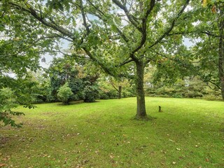 Vakantiehuis Thorsminde  41