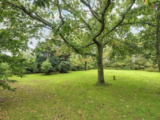 Ferienhaus Thorsminde  40