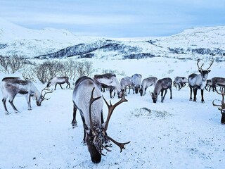 Apartamento Rebbenes  46