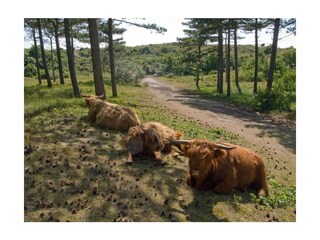 Vakantiehuis Egmond aan Zee Omgeving 28