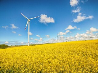 Maison de vacances Darlowo Environnement 23