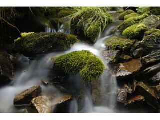 Ferienhaus Jáchymov Umgebung 33