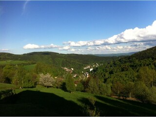 Ferienhaus Jáchymov Außenaufnahme 3