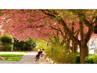 Casa per le vacanze Jáchymov Ambiente 37