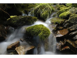 Casa per le vacanze Jáchymov Ambiente 35