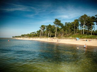 Vakantiehuisje Darlowo Omgeving 29