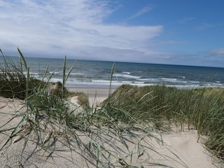 Ferienhaus Klegod  41