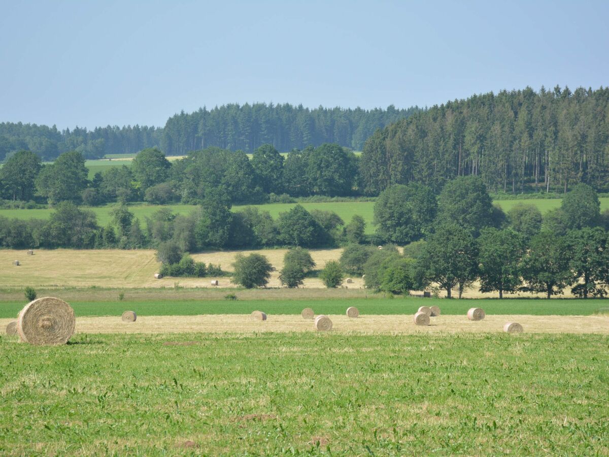 Ferienhaus Daverdisse Umgebung 20