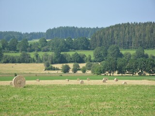 Ferienhaus Daverdisse Umgebung 25