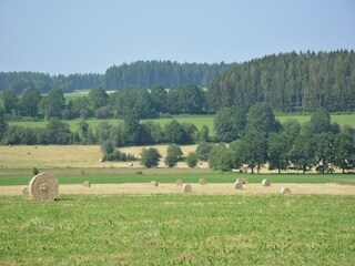 Ferienhaus Daverdisse Umgebung 22
