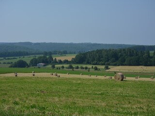 Ferienhaus Daverdisse Umgebung 28