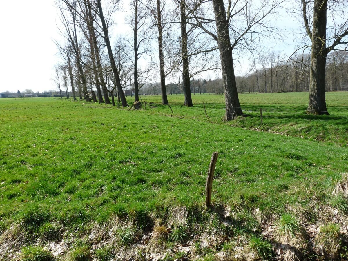 Ferienhaus Beernem Umgebung 30