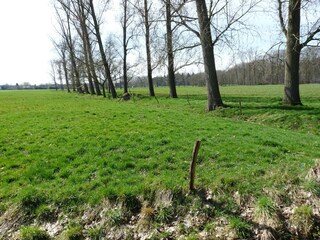 Vakantiehuis Beernem Omgeving 37