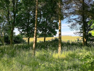 Vakantiehuis Ejerslev Buitenaudio-opname 18