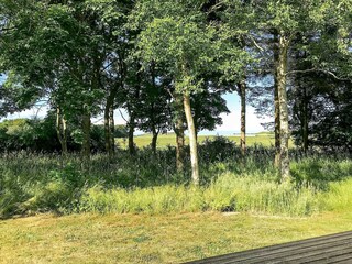 Casa de vacaciones Ejerslev Grabación al aire libre 19