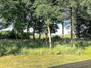 Ferienhaus Ejerslev Außenaufnahme 8