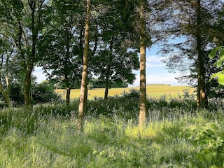 Ferienhaus Ejerslev Außenaufnahme 3