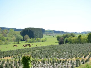 Holiday cottage Paliseul Outdoor Recording 3
