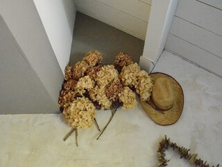 Maison de vacances Paliseul  31