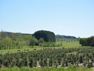 Vakantiehuisje Paliseul Omgeving 27