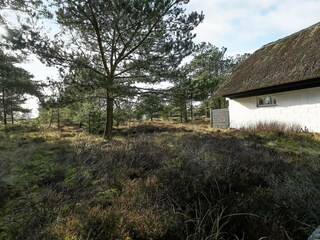 Ferienhaus Blåvand  22