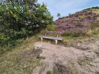 Ferienhaus Bolilmark  32