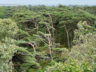 Maison de vacances Bolilmark  2