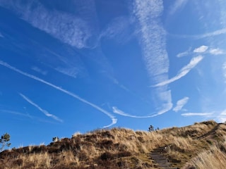 Ferienhaus Bolilmark  36
