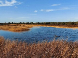 Ferienhaus Bolilmark  12