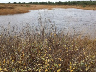 Casa de vacaciones Bolilmark  27