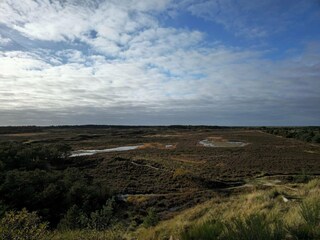Ferienhaus Bolilmark  15