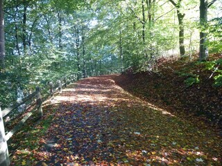 Appartamento per vacanze Olpe Ambiente 33