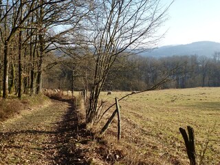 Appartamento per vacanze Olpe Ambiente 35