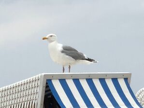 Ferienwohnung Urlaub mit der Familie - Rerik - image1