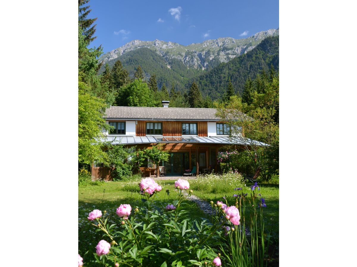 Blick vom Gemüsehochbeet Richtung Haus & Terrasse