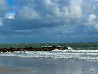 Vakantiehuis Blåvand  8