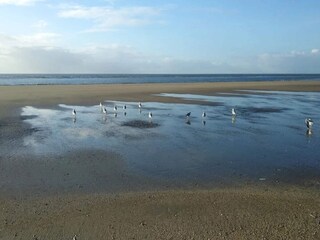 Ferienhaus Blåvand  21