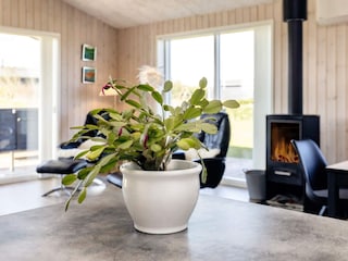 Holiday house Saltum  12