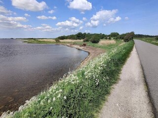 Casa de vacaciones Porsheden Grabación al aire libre 5