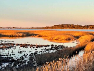Ferienhaus Porsheden Außenaufnahme 16