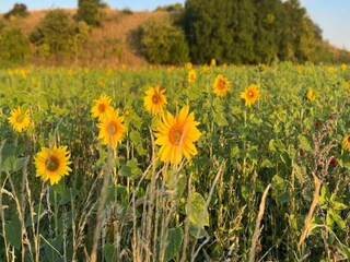 Casa per le vacanze Porsheden Registrazione all'aperto 4