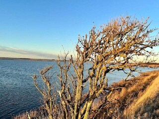 Casa per le vacanze Porsheden Registrazione all'aperto 6