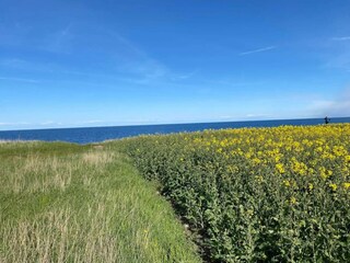 Casa per le vacanze Grenaa  49