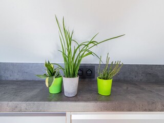 Apartment Poperinge  30