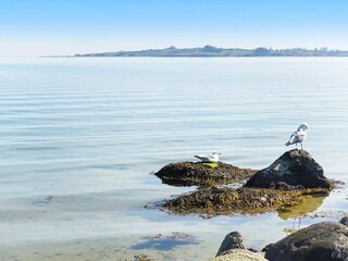 Casa per le vacanze Sønderballe Registrazione all'aperto 4